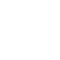 EU icon