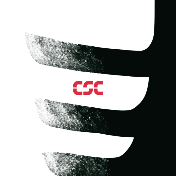 Background CSC Pro Team 2008
