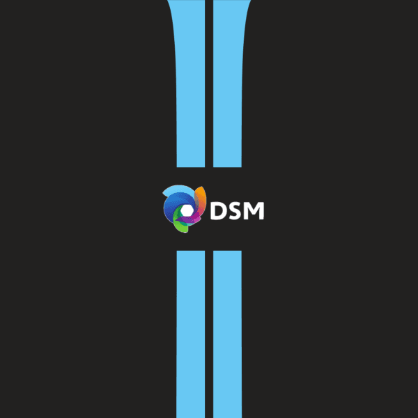 Background Team DSM 2022