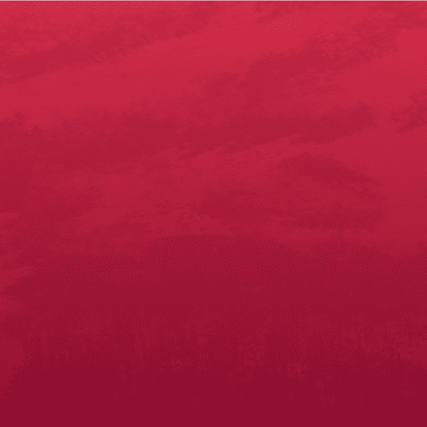 Background Cofidis 2024 (clean)