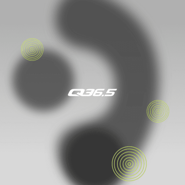 Background Q36.5 Pro Cycling Team 2023