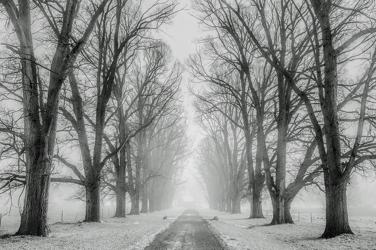 Background Winter day