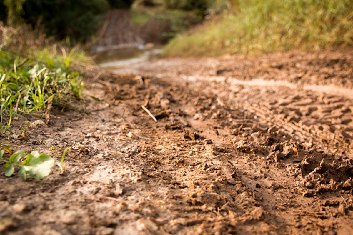 Background Mud 2