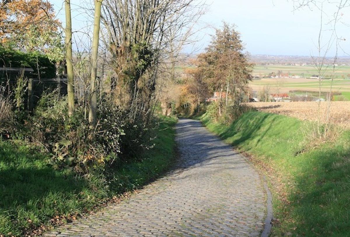 Background Oude Kwaremont