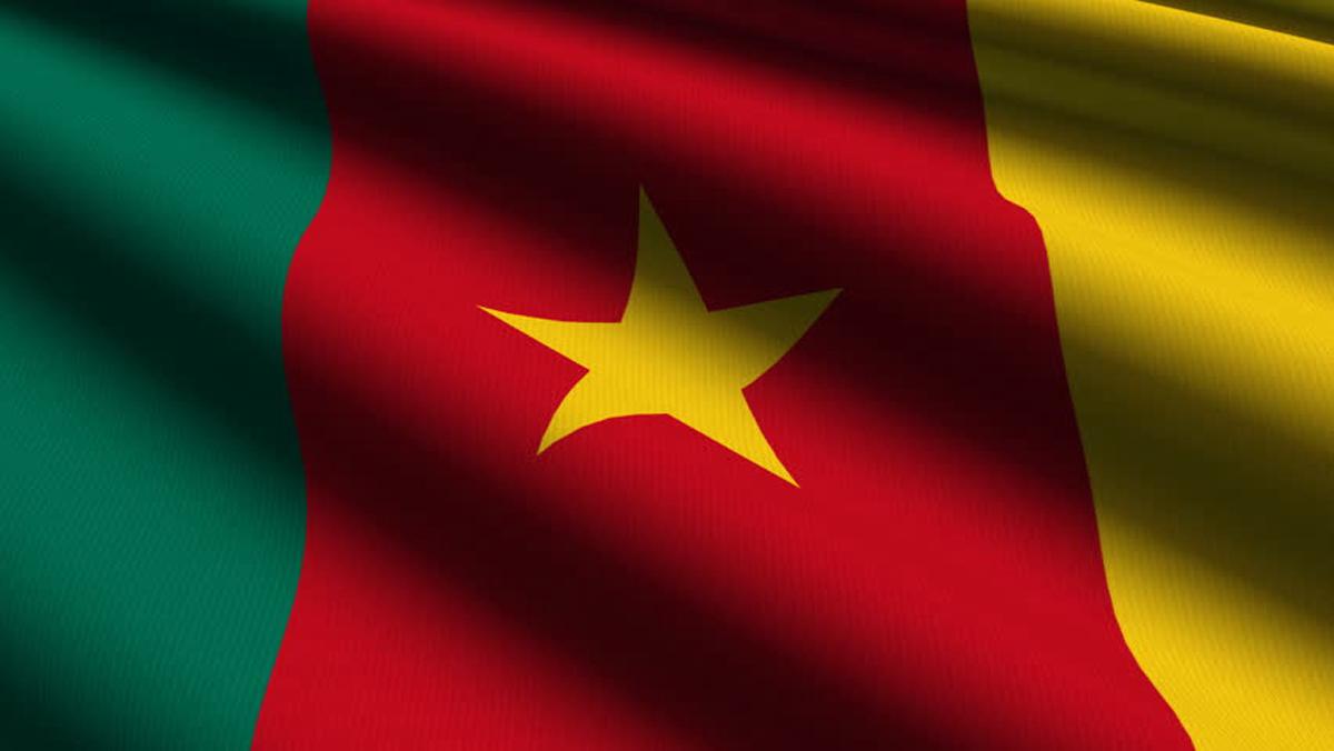 Background Cameroon