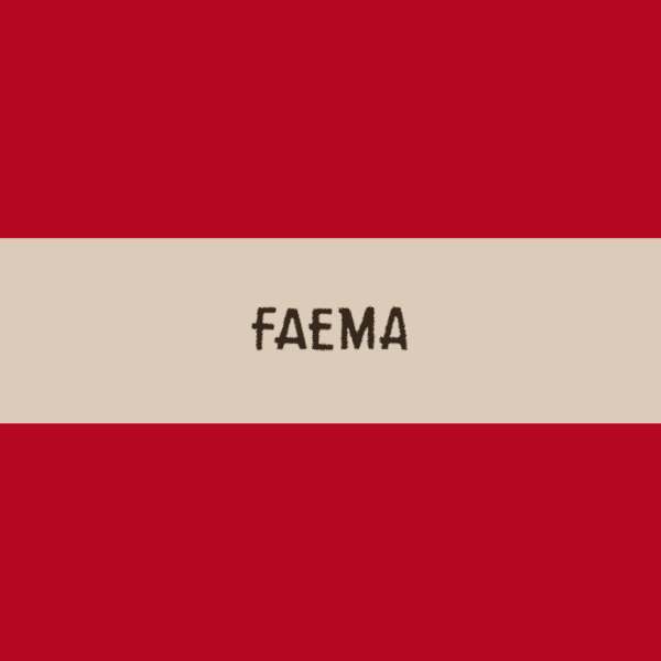 Background Faema - Flandria 1962