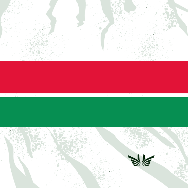 Background Polti - Kometa 2024 (clean)