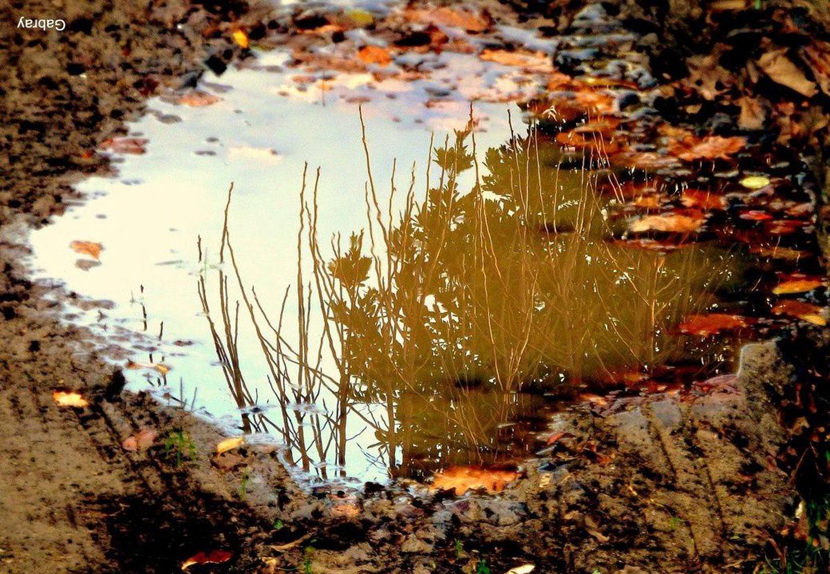 Background Puddle