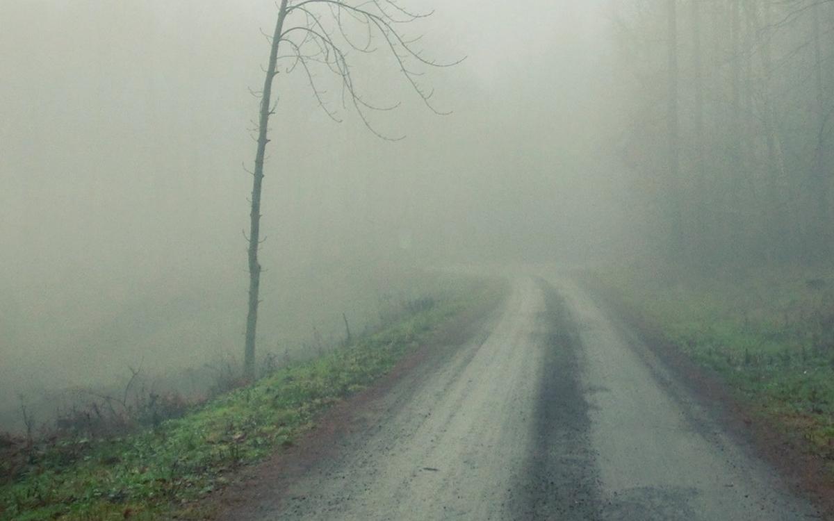 Background Fogg