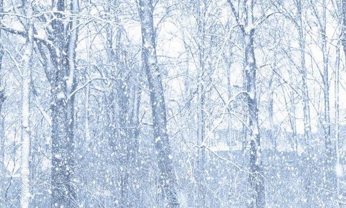 Background Snow 2