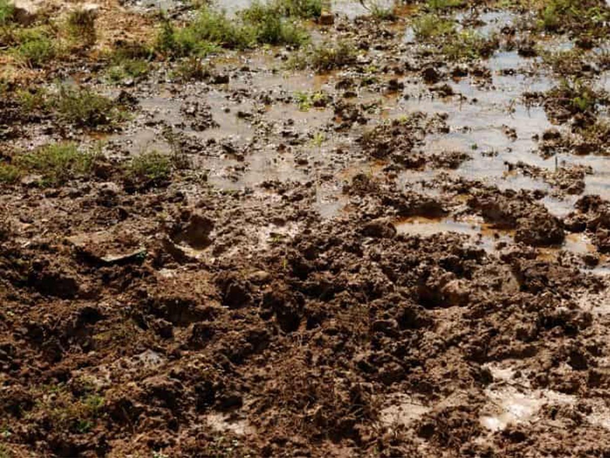 Background Mud