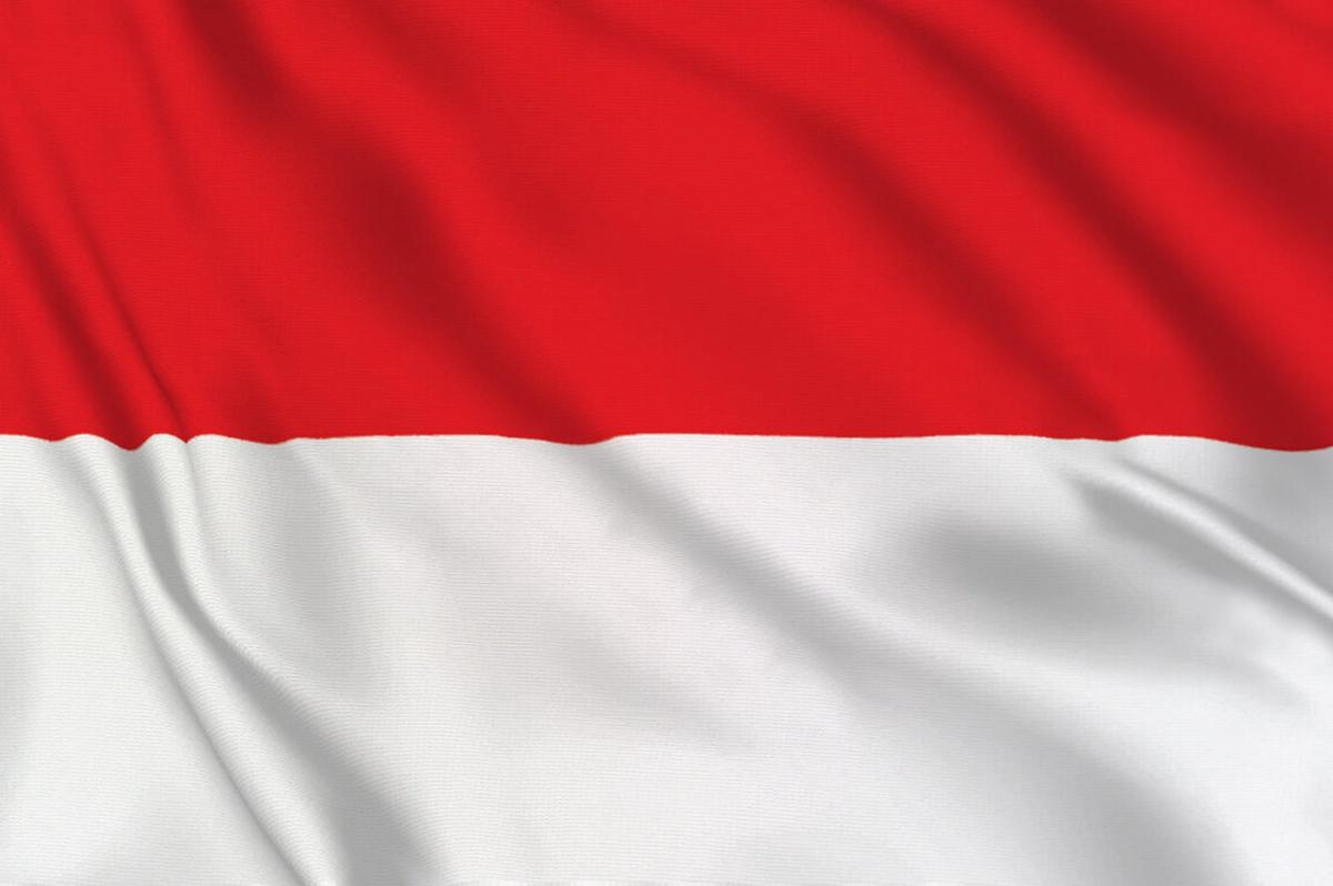 Background Indonesia