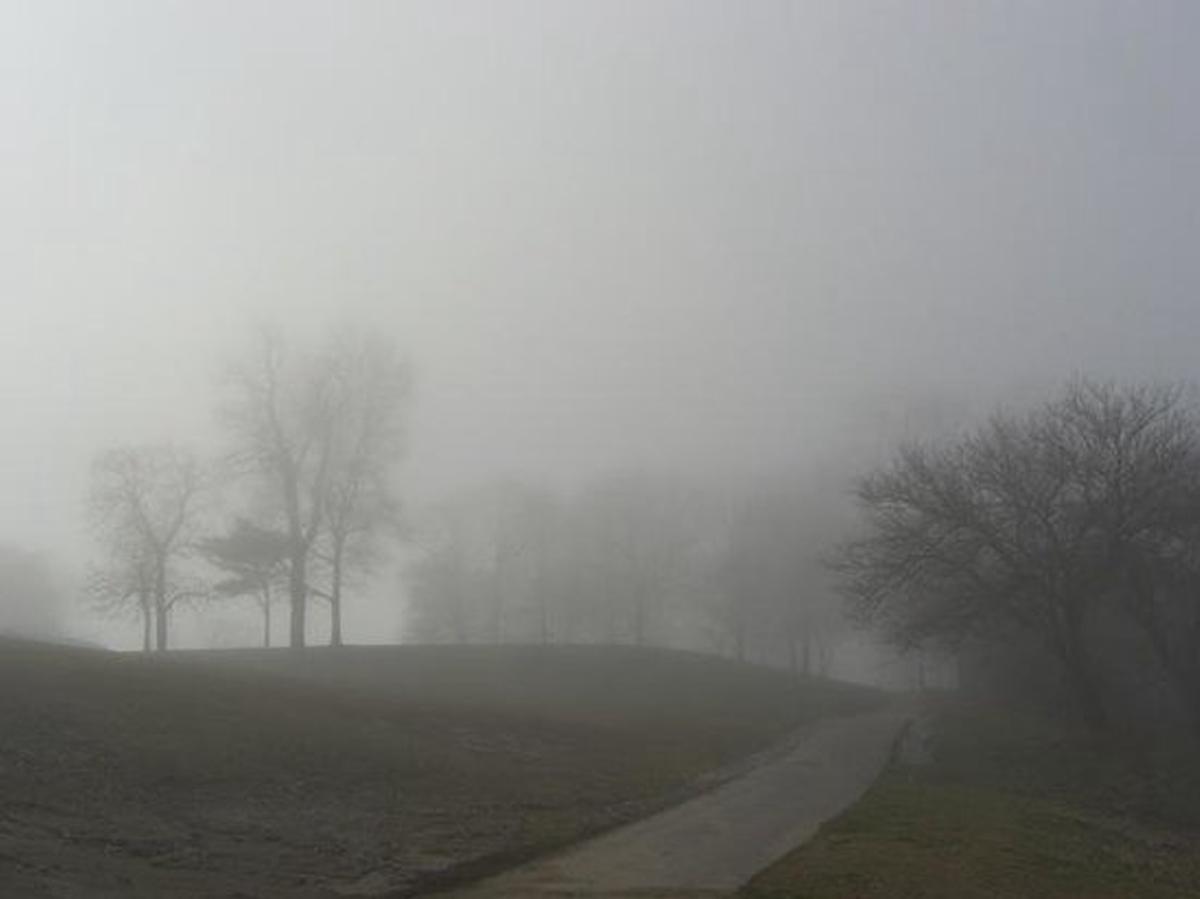 Background Fogg 2