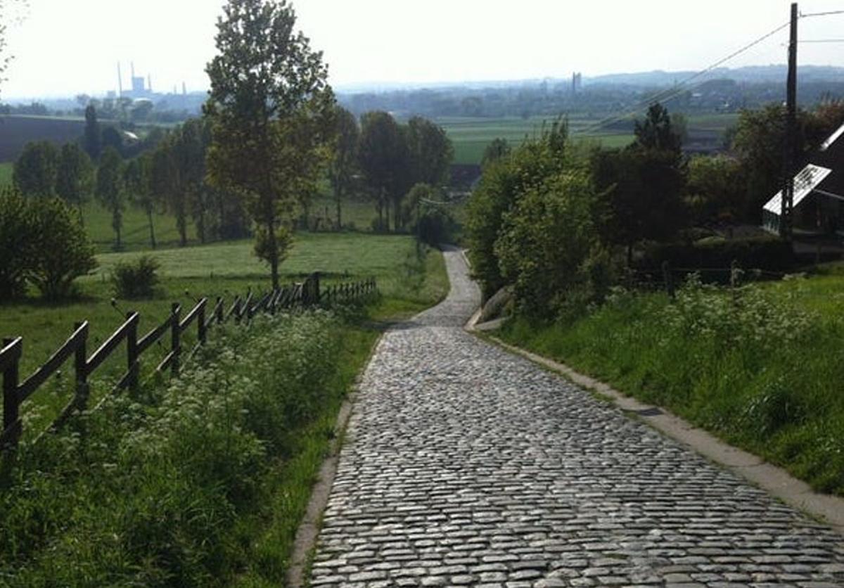Background Paterberg