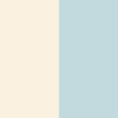 Background Winspace Orange Seal (clean)