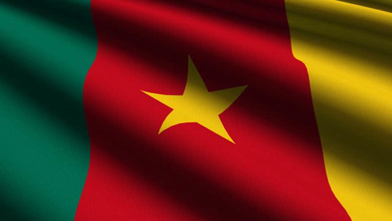 Background Cameroon