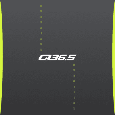 Background Q36.5 Pro Cycling Team 2024