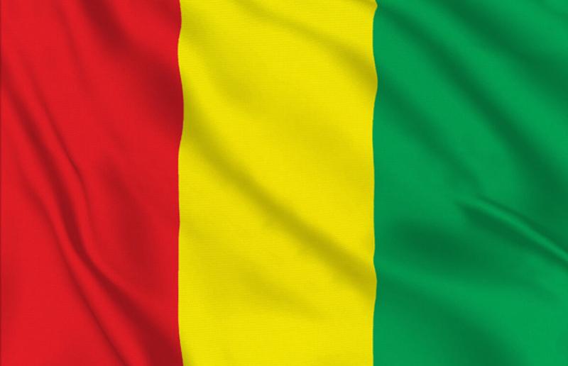 Background Guinea