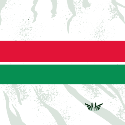 Background Polti - Kometa 2024 (clean)
