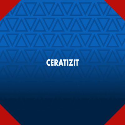 Background Ceratizit - WNT Pro Cycling