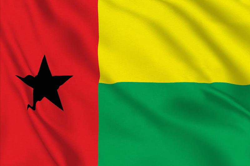 Background Guinea Bissau