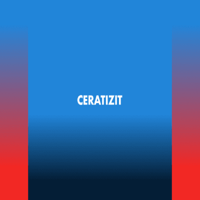 Background Ceratizit - WNT Pro Cycling 2023