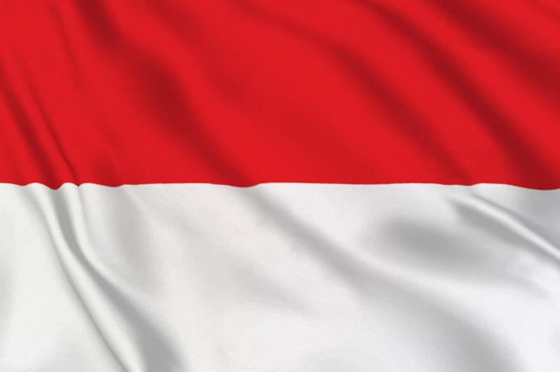 Background Indonesia