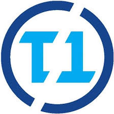 TeamType1 avatar