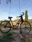 BaixEbreBike club avatar