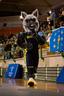 club Ourense Baloncesto club avatar