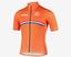 Dutch Cycling Team club avatar