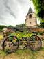 Elsass Cycling Fans club avatar