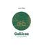 Gallicae Cycling Academy  club avatar