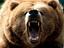 la fuga del oso club avatar