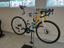 Malaga Boys Wheelers club avatar