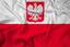 Poland club avatar