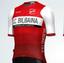 S.C. Bilbaina & Munguia club avatar