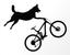 SGC Cycling Club club avatar