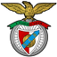 Team ViVa Portugal  club avatar