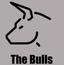 The bulls club avatar