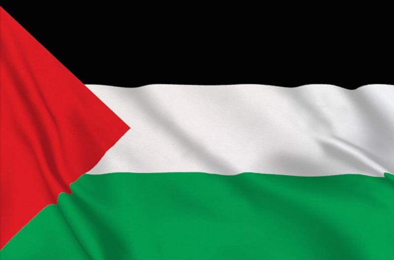 Palestine background