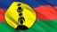 New Caledonia avatar