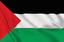 Palestine avatar