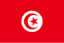 TN flag