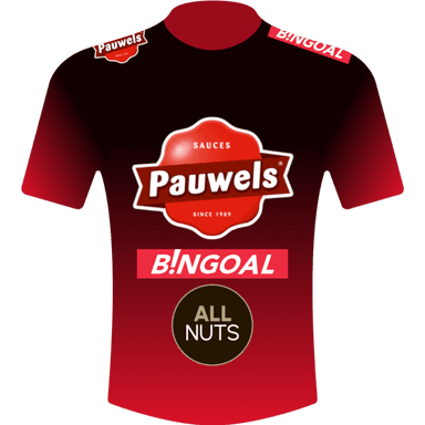 Camisola PAUWELS SAUZEN - BINGOAL 