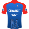 weared maillot image