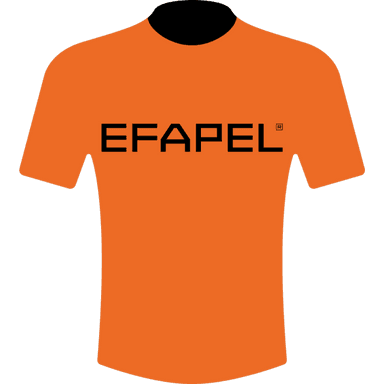 maillot EFAPEL CYCLING