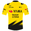 Maillot TEAM VISMA | LEASE A BIKE
