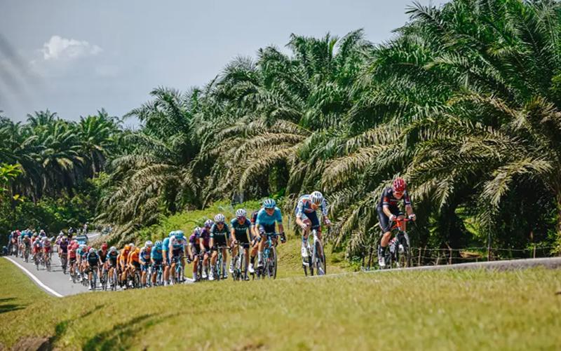 Langkawi’s week background image