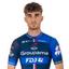 GROUPAMA - FDJ maillot